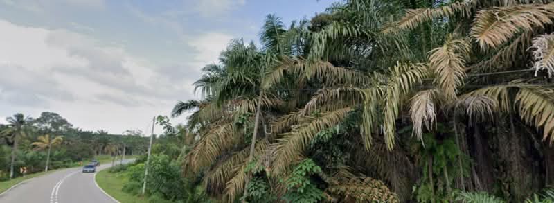 Agricultural Land for Sale in Sedenak (Johor) - Alexius Lim - PropertyGuru.com.my