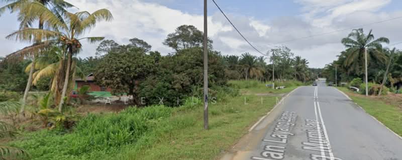 Agricultural Land for Sale in Sedenak (Johor) - Alexius Lim - Exterior - PropertyGuru.com.my