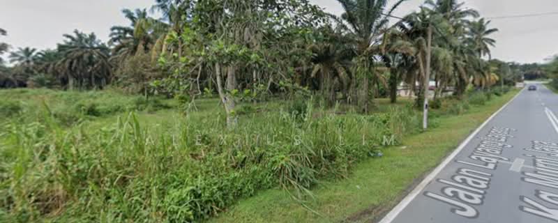 Agricultural Land for Sale in Sedenak (Johor) - Alexius Lim - Exterior - PropertyGuru.com.my
