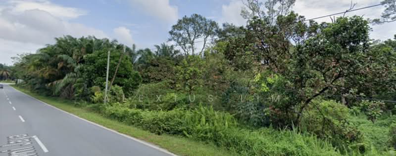 Agricultural Land for Sale in Sedenak (Johor) - Alexius Lim - Exterior - PropertyGuru.com.my