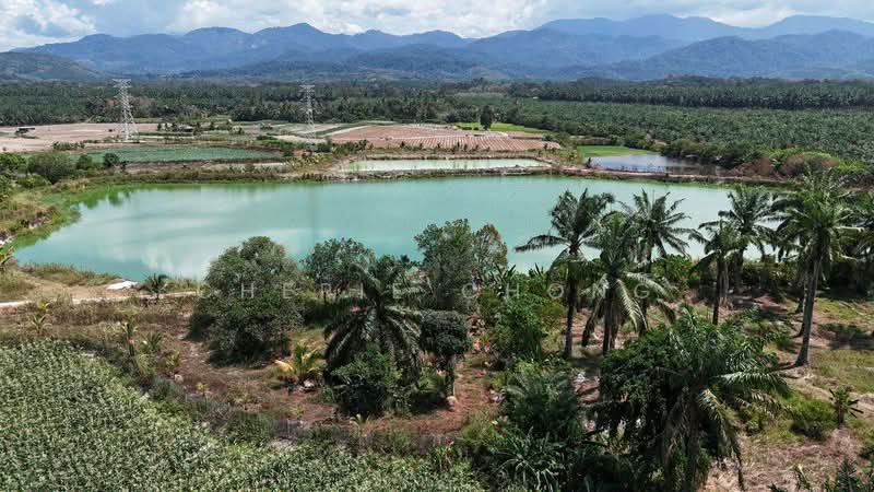 Tanah Pertanian untuk Dijual di Kampung Kanthan (Chemor) - Cherie Chong - Exterior - PropertyGuru.com.my
