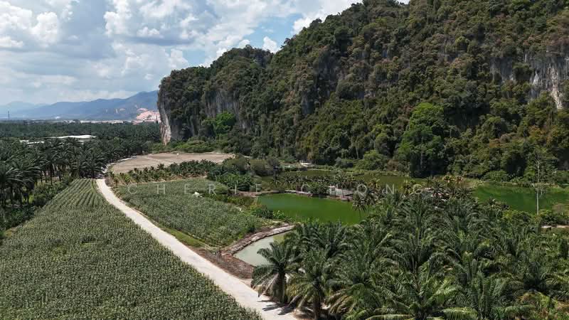 Tanah Pertanian untuk Dijual di Kampung Kanthan (Chemor) - Cherie Chong - Exterior - PropertyGuru.com.my