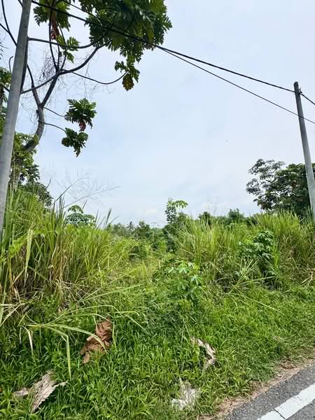 Other Property for Sale in Pontian (Johor) - Saedah Napisah - PropertyGuru.com.my