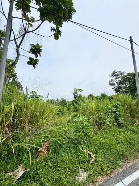 Others for Sale in Pontian (Johor) - Saedah Napisah - Exterior - PropertyGuru.com.my