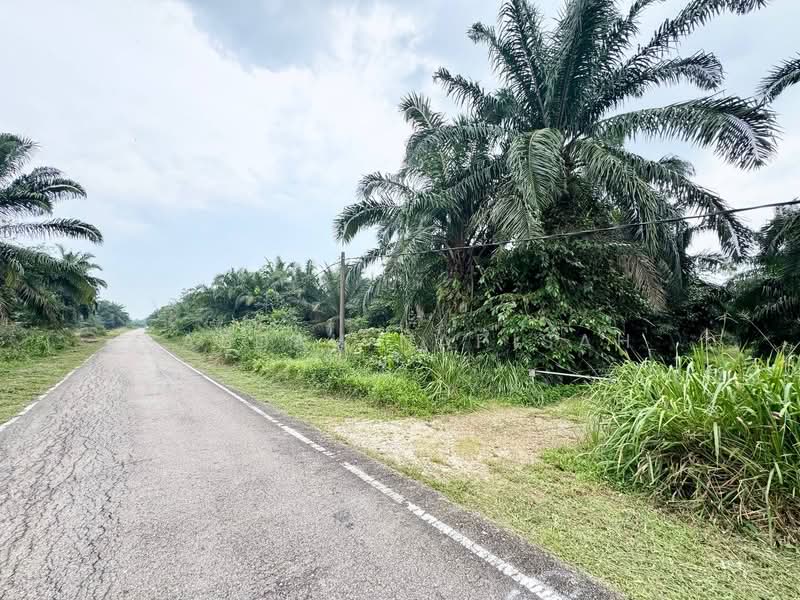 Tanah Pertanian untuk Dijual di Ayer Baloi (Johor) - Saedah Napisah - PropertyGuru.com.my