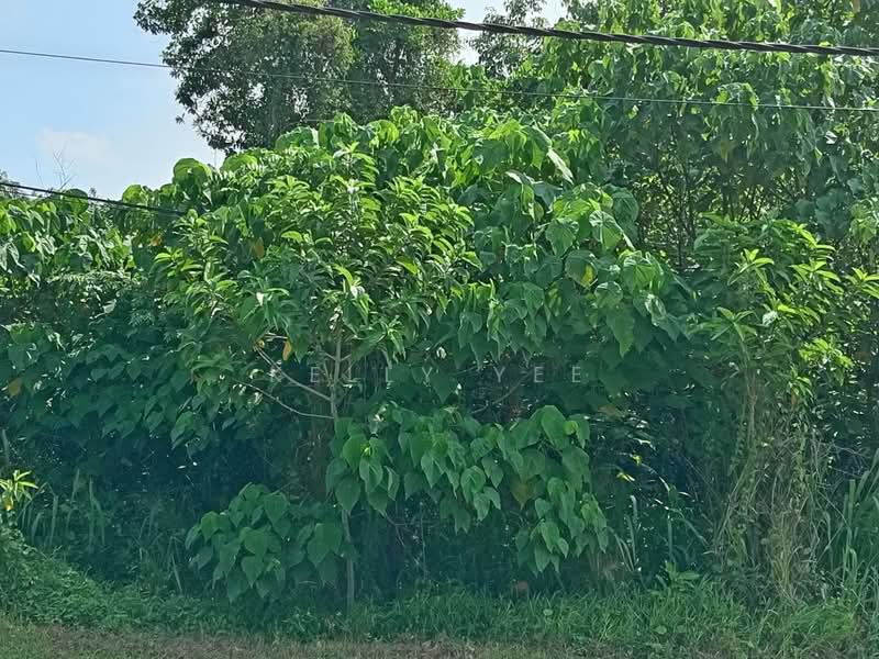 Tanah Pertanian untuk Dijual di Kulim (Kedah) - Kelly Yee - PropertyGuru.com.my