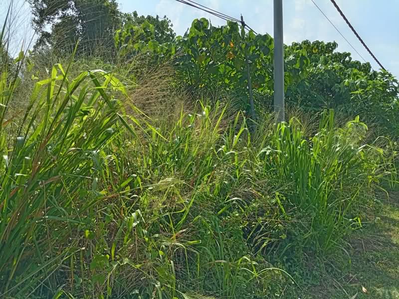 Tanah Pertanian untuk Dijual di Kulim (Kedah) - Kelly Yee - Exterior - PropertyGuru.com.my