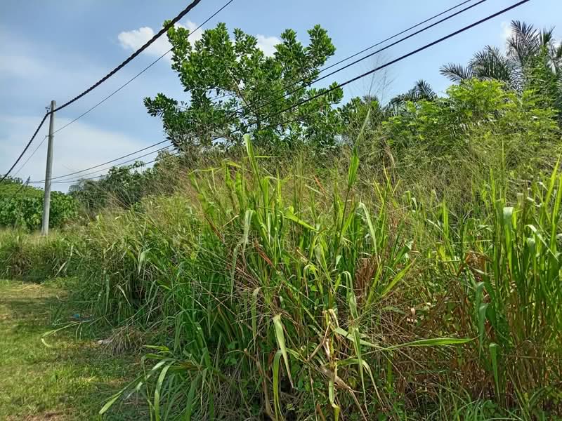 Tanah Pertanian untuk Dijual di Kulim (Kedah) - Kelly Yee - Exterior - PropertyGuru.com.my