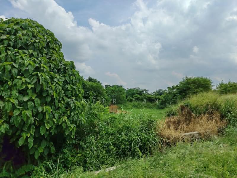 Agricultural Land for Sale in Bandar Baru Permas Jaya (Permas Jaya) - Peter Tan - PropertyGuru.com.my