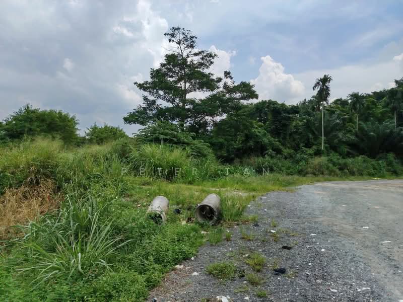 Agricultural Land for Sale in Bandar Baru Permas Jaya (Permas Jaya) - Peter Tan - PropertyGuru.com.my