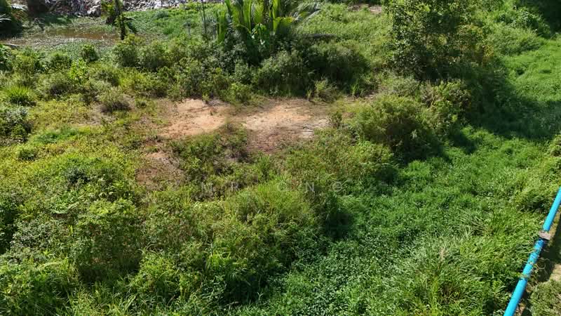 Residential Land for Sale in Kinarut (Papar) - Mr Ong - PropertyGuru.com.my