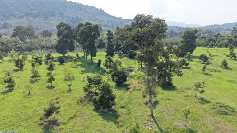 Agricultural Land for Sale in Bentong (Pahang) - Vincent Tee - Garden - PropertyGuru.com.my