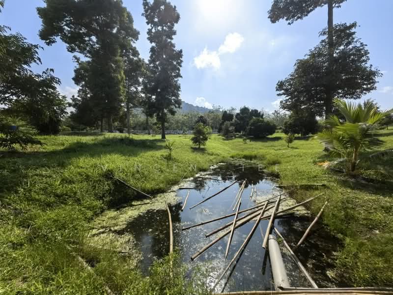 Agricultural Land for Sale in Bentong (Pahang) - Vincent Tee - Exterior - PropertyGuru.com.my