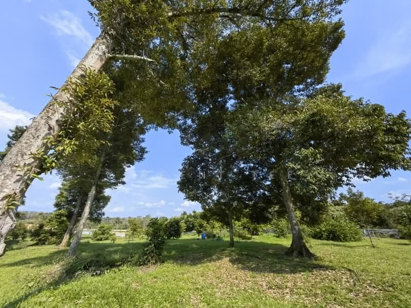 Agricultural Land for Sale in Bentong (Pahang) - Vincent Tee - Garden - PropertyGuru.com.my