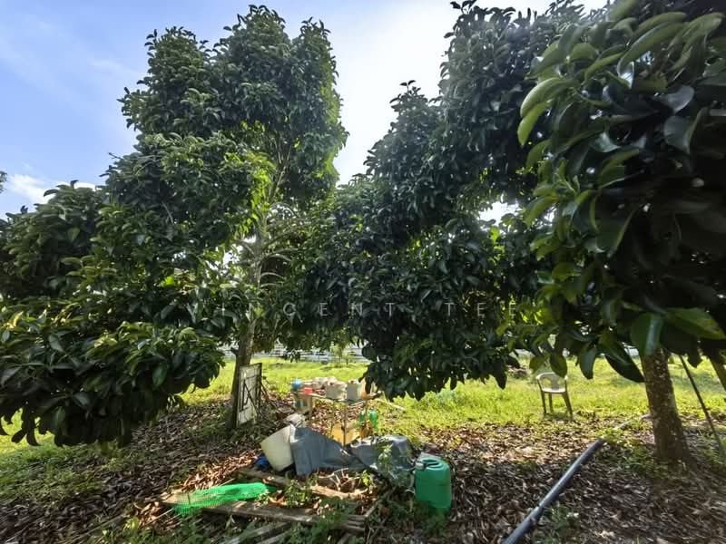 Agricultural Land for Sale in Bentong (Pahang) - Vincent Tee - Exterior - PropertyGuru.com.my