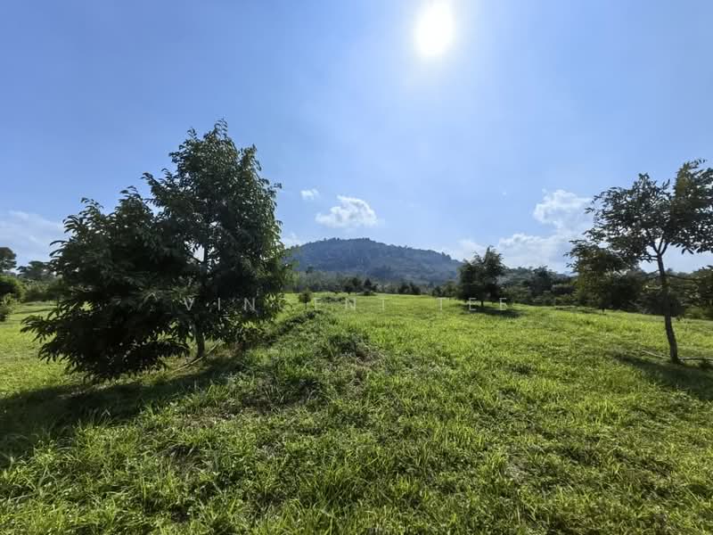 Agricultural Land for Sale in Bentong (Pahang) - Vincent Tee - Garden - PropertyGuru.com.my
