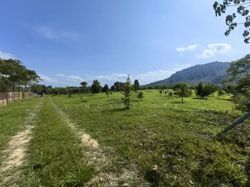 Agricultural Land for Sale in Bentong (Pahang) - Vincent Tee - Exterior - PropertyGuru.com.my