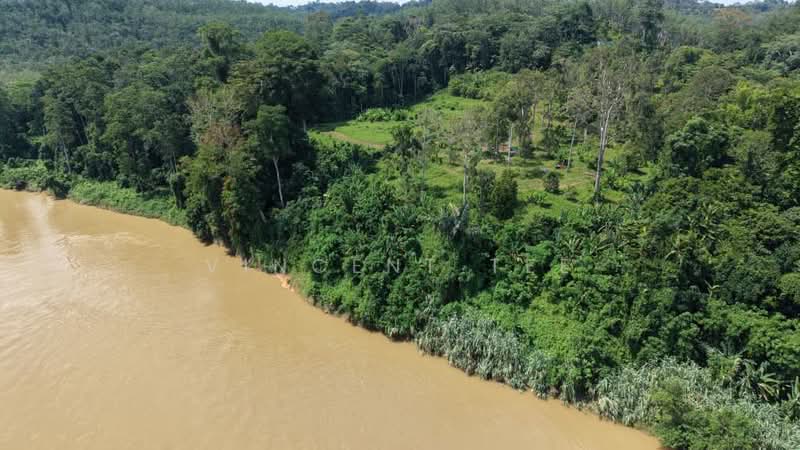 Agricultural Land for Sale in Padang Tengku (Pahang) - Vincent Tee - Exterior - PropertyGuru.com.my