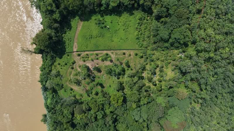 Agricultural Land for Sale in Padang Tengku (Pahang) - Vincent Tee - Exterior - PropertyGuru.com.my
