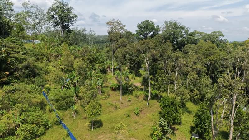 Agricultural Land for Sale in Padang Tengku (Pahang) - Vincent Tee - Exterior - PropertyGuru.com.my