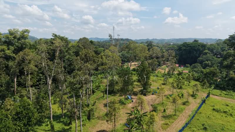 Agricultural Land for Sale in Padang Tengku (Pahang) - Vincent Tee - Exterior - PropertyGuru.com.my