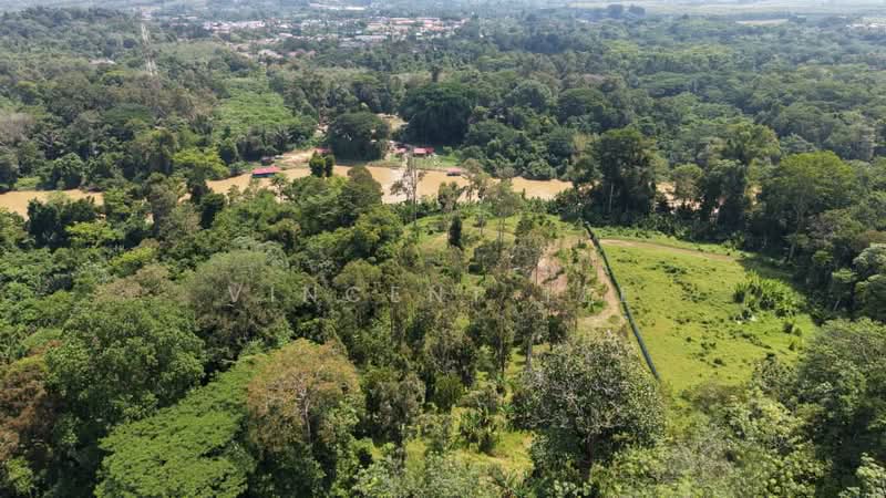 Agricultural Land for Sale in Padang Tengku (Pahang) - Vincent Tee - Exterior - PropertyGuru.com.my