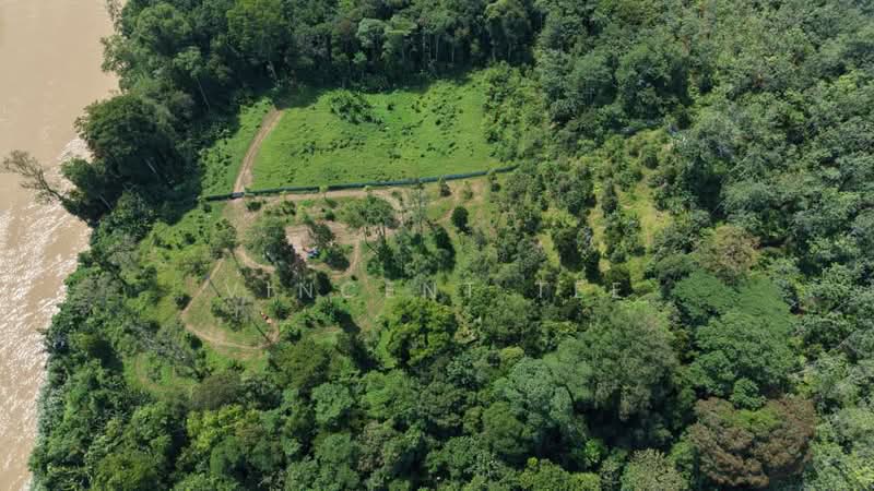 Agricultural Land for Sale in Padang Tengku (Pahang) - Vincent Tee - Exterior - PropertyGuru.com.my