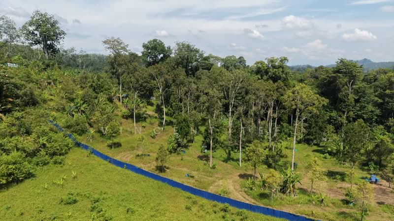 Agricultural Land for Sale in Padang Tengku (Pahang) - Vincent Tee - Exterior - PropertyGuru.com.my