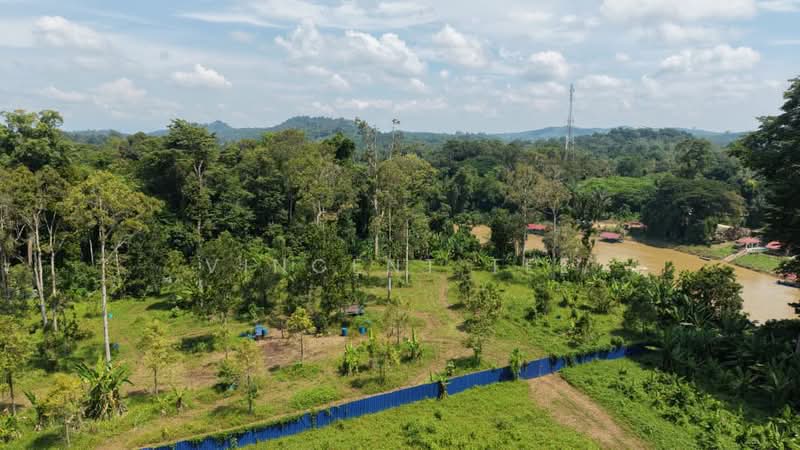 Agricultural Land for Sale in Padang Tengku (Pahang) - Vincent Tee - Exterior - PropertyGuru.com.my