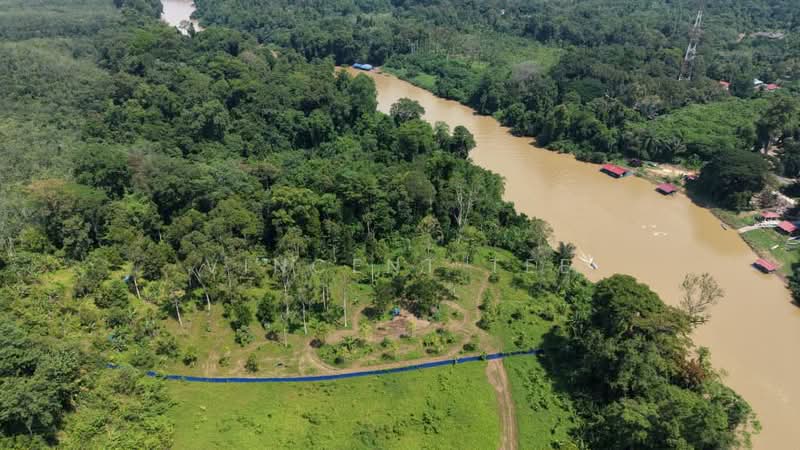 Agricultural Land for Sale in Padang Tengku (Pahang) - Vincent Tee - Exterior - PropertyGuru.com.my