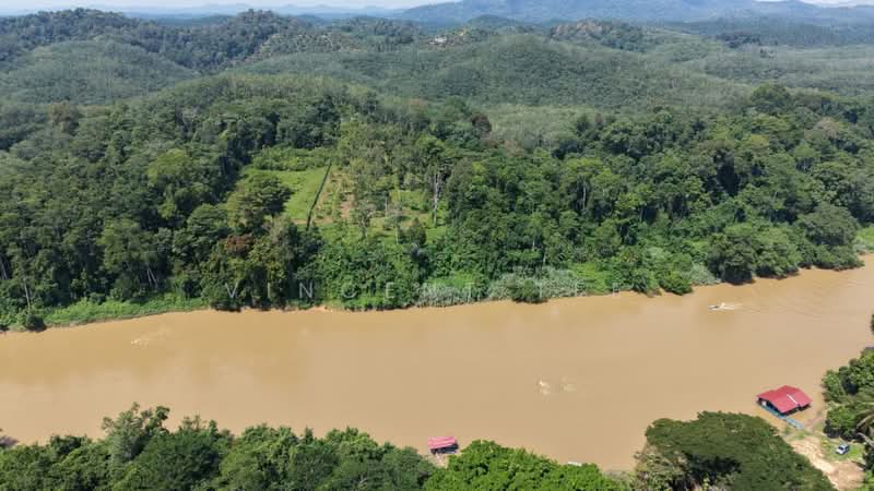 Agricultural Land for Sale in Padang Tengku (Pahang) - Vincent Tee - Exterior - PropertyGuru.com.my