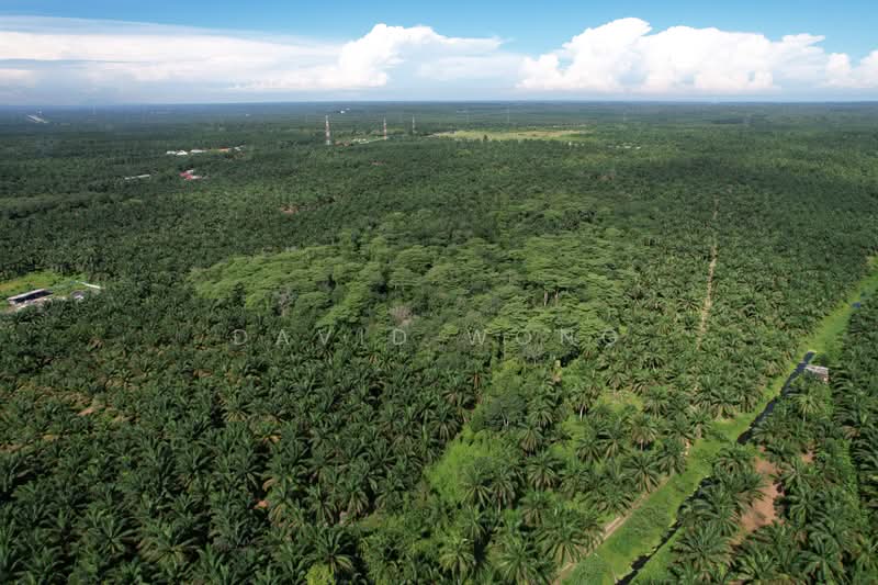 Tanah Pertanian untuk Dijual di Kamunting (Perak) - David Wong - Exterior - PropertyGuru.com.my