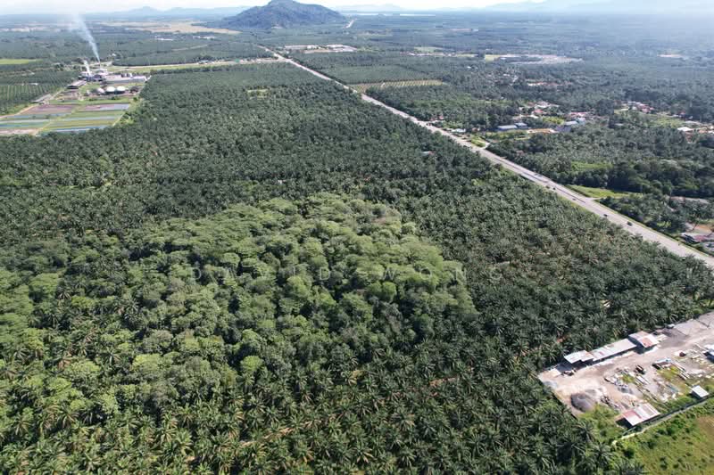 Tanah Pertanian untuk Dijual di Kamunting (Perak) - David Wong - Exterior - PropertyGuru.com.my