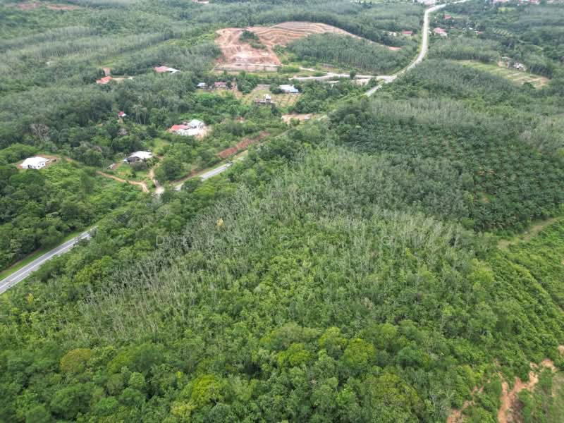 Tanah Pertanian untuk Dijual di Sik (Kedah) - Derrick Ng - Exterior - PropertyGuru.com.my