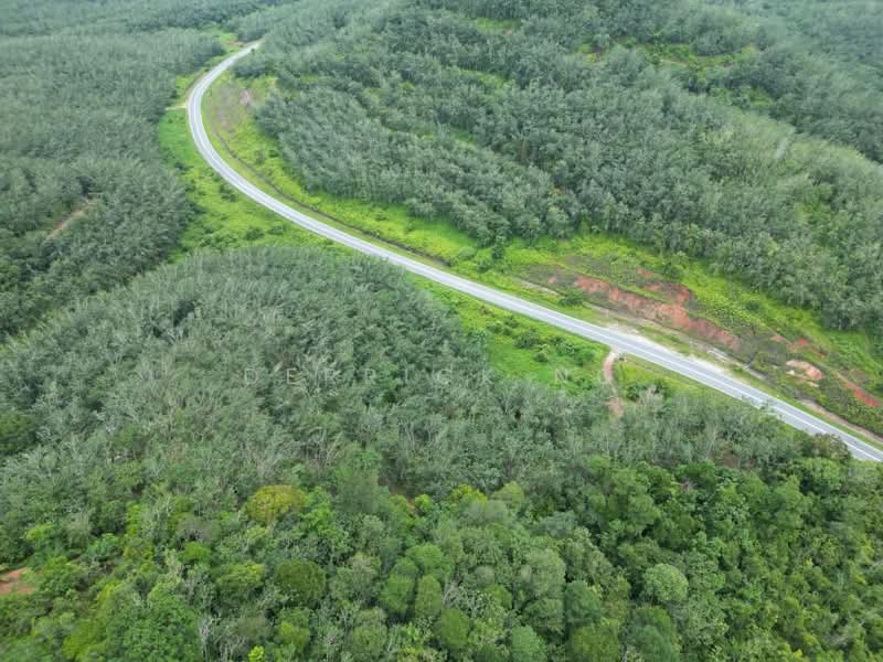 Tanah Pertanian untuk Dijual di Sik (Kedah) - Derrick Ng - Exterior - PropertyGuru.com.my