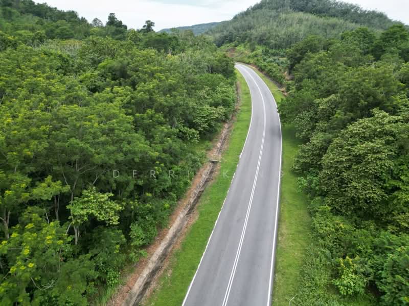 Tanah Pertanian untuk Dijual di Sik (Kedah) - Derrick Ng - Exterior - PropertyGuru.com.my