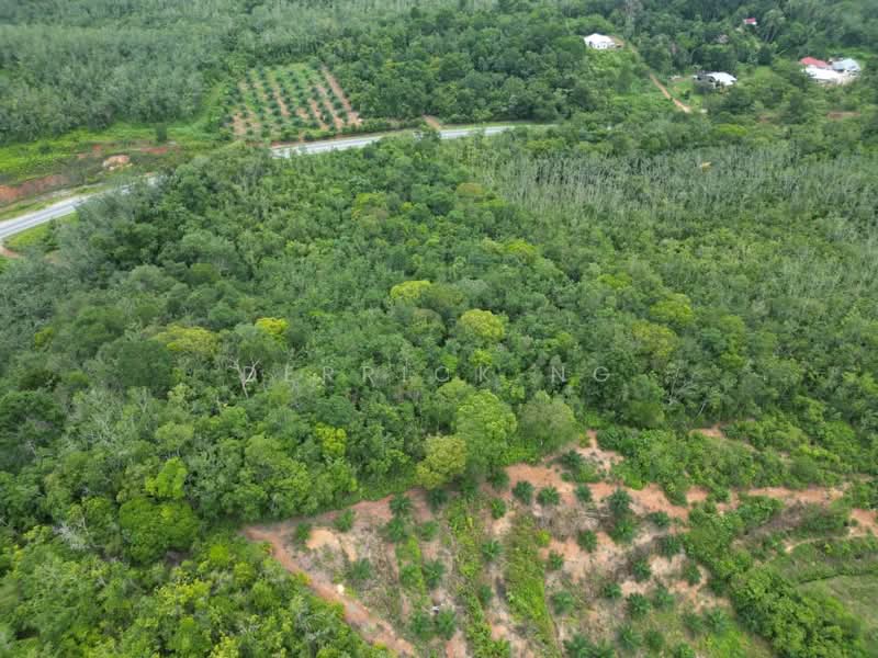 Tanah Pertanian untuk Dijual di Sik (Kedah) - Derrick Ng - Exterior - PropertyGuru.com.my