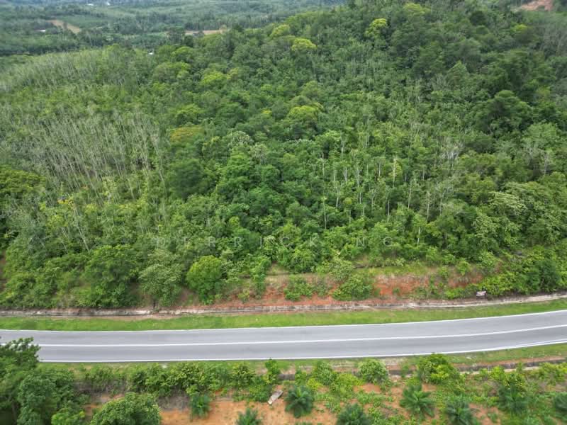 Tanah Pertanian untuk Dijual di Sik (Kedah) - Derrick Ng - Exterior - PropertyGuru.com.my