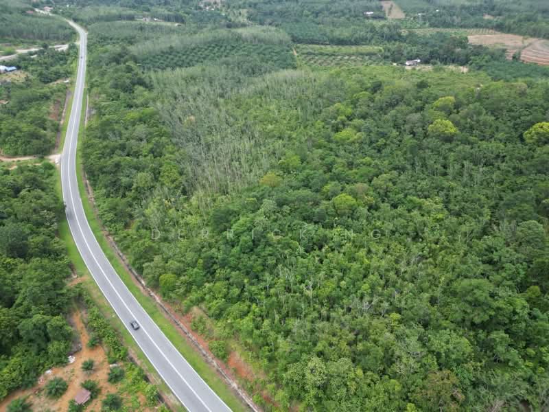 Tanah Pertanian untuk Dijual di Sik (Kedah) - Derrick Ng - Exterior - PropertyGuru.com.my