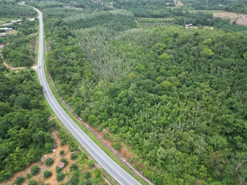 Tanah Pertanian untuk Dijual di Sik (Kedah) - Derrick Ng - Exterior - PropertyGuru.com.my