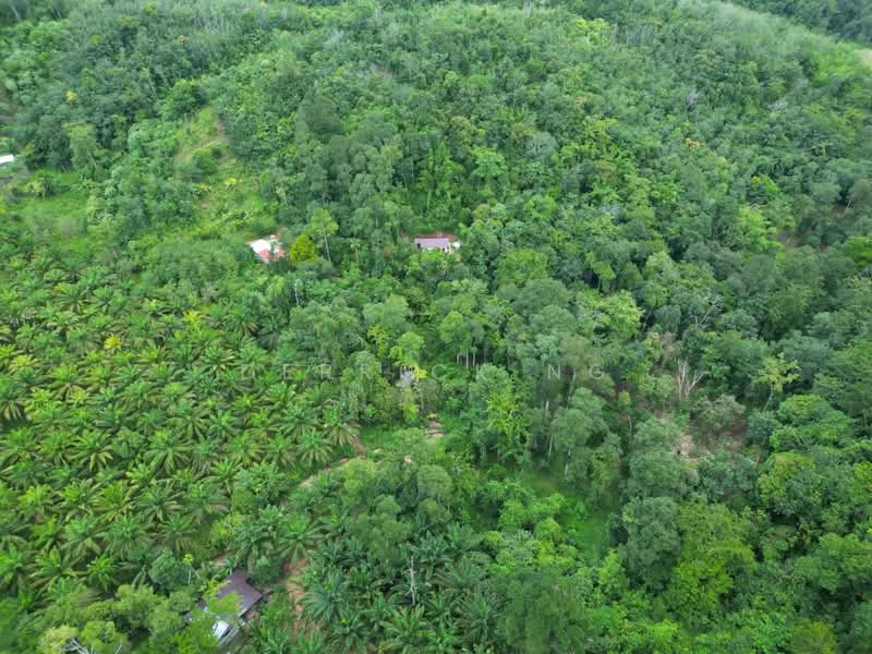 Tanah Pertanian untuk Dijual di Sik (Kedah) - Derrick Ng - Exterior - PropertyGuru.com.my