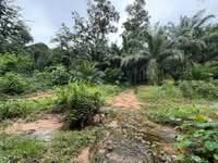 For Sale - Sik Sungai Sok