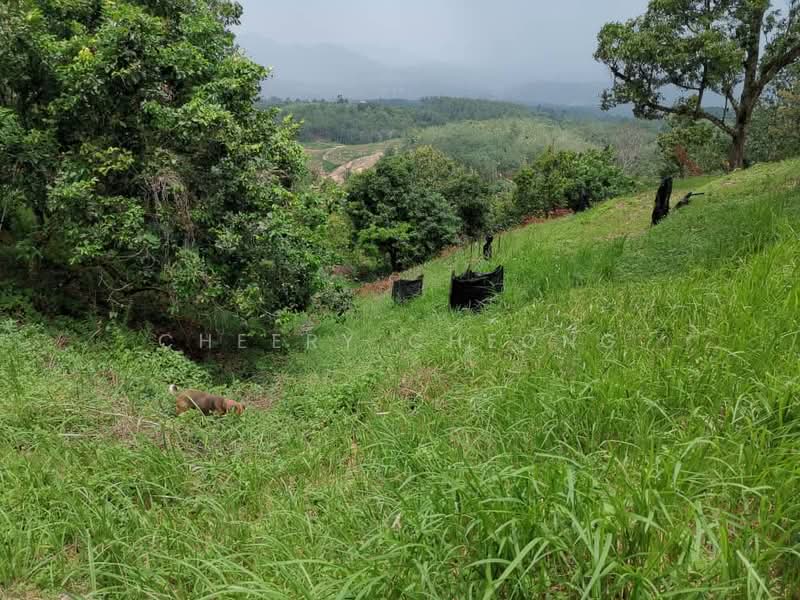 Agricultural Land for Sale in Kampung Sungai Lalang (Semenyih) - Cheery Cheong - Exterior - PropertyGuru.com.my