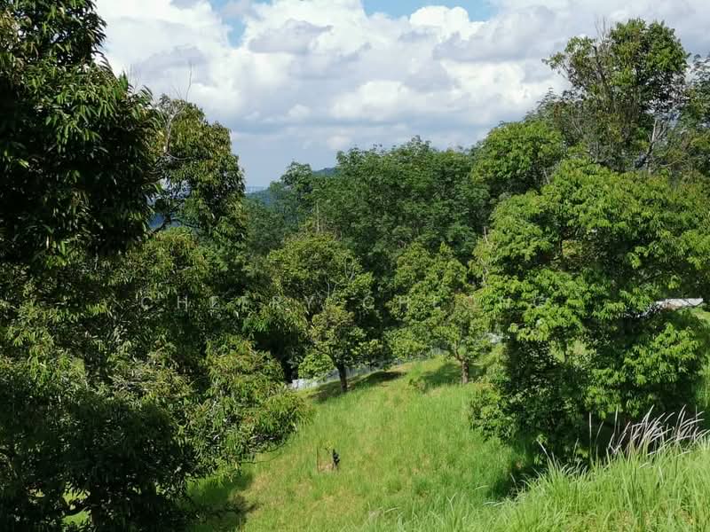 Agricultural Land for Sale in Kampung Sungai Lalang (Semenyih) - Cheery Cheong - Exterior - PropertyGuru.com.my