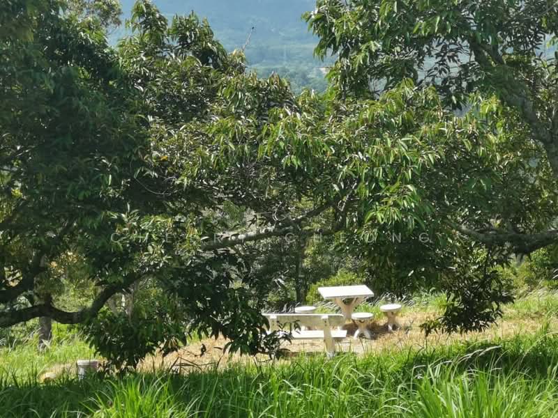 Agricultural Land for Sale in Kampung Sungai Lalang (Semenyih) - Cheery Cheong - Garden - PropertyGuru.com.my