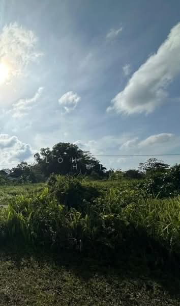 Tanah Pertanian untuk Dijual di Pelabuhan Tanjung Pelepas (Gelang Patah) - Loh Kok Hui - Exterior - PropertyGuru.com.my