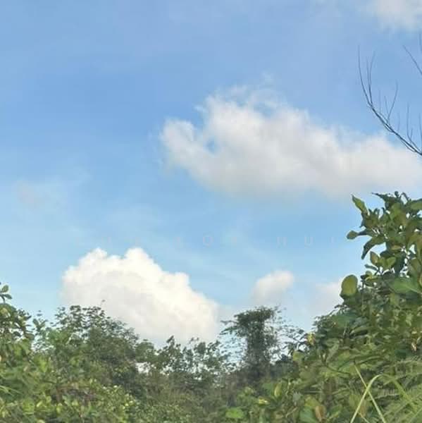 Tanah Pertanian untuk Dijual di Pelabuhan Tanjung Pelepas (Gelang Patah) - Loh Kok Hui - PropertyGuru.com.my
