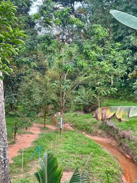 Tanah Pertanian untuk Dijual di Sungai Merab (Dengkil) - Liza Khalid - PropertyGuru.com.my