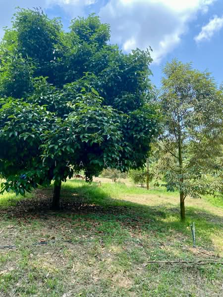 Tanah Pertanian untuk Dijual di Sungai Merab (Dengkil) - Liza Khalid - PropertyGuru.com.my