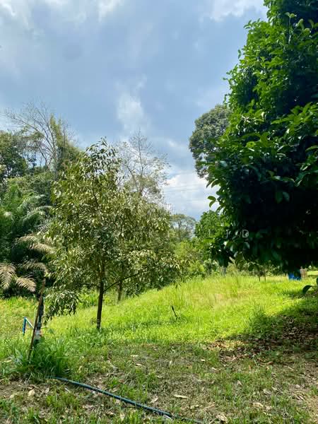 Tanah Pertanian untuk Dijual di Sungai Merab (Dengkil) - Liza Khalid - PropertyGuru.com.my